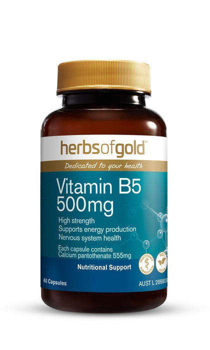 HERBS OF GOLD VITAMIN B5 500MG 60C