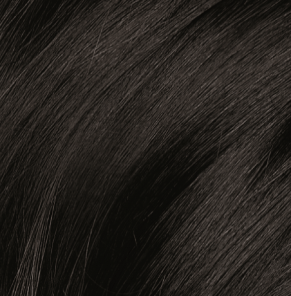 NATURTINT - 1N EBONY BLACK