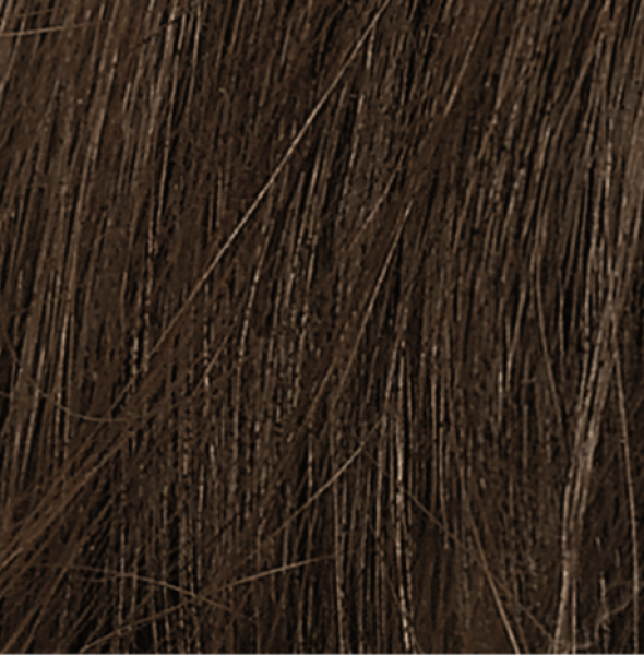 NATURTINT - 4G Golden Chestnut